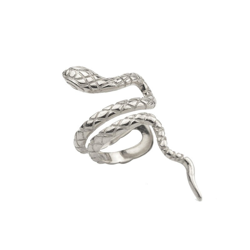 Wind snake shaped ear clip and ear bone clip