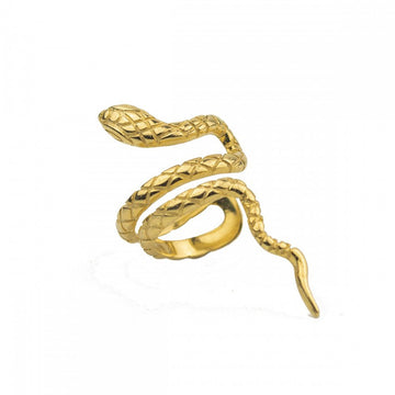 Wind snake shaped ear clip and ear bone clip