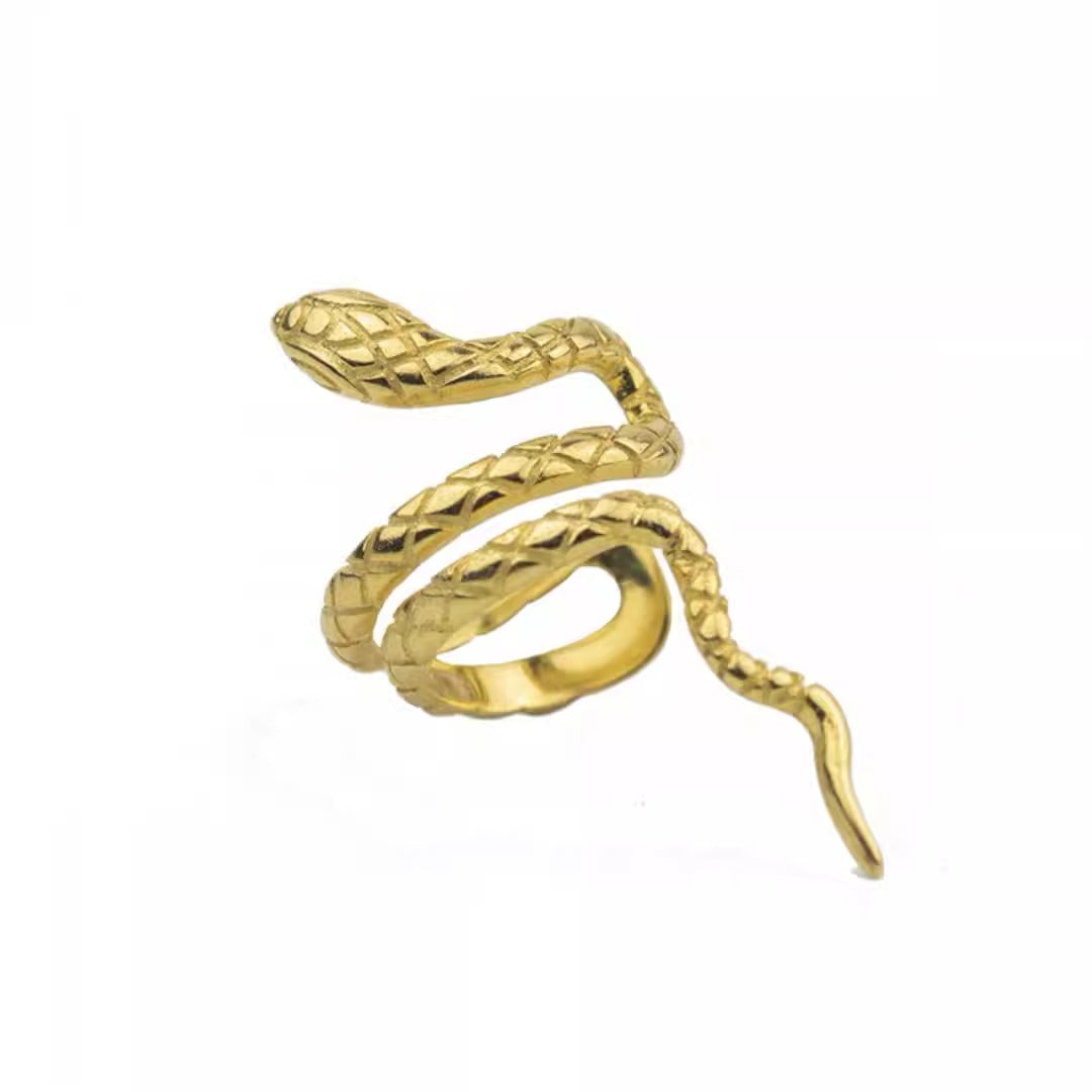 Wind snake shaped ear clip and ear bone clip